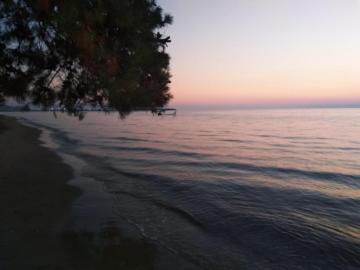 Chrisella Villa Szkála Rahoníu Kültér fotó